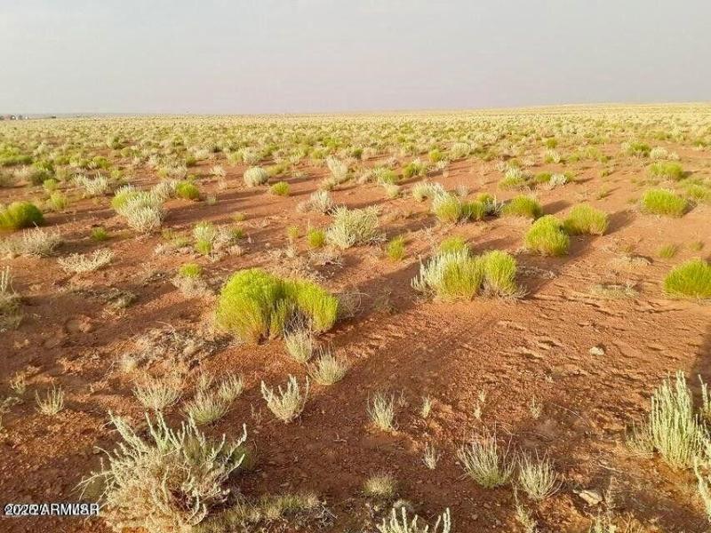 20251104022615573975000000-o