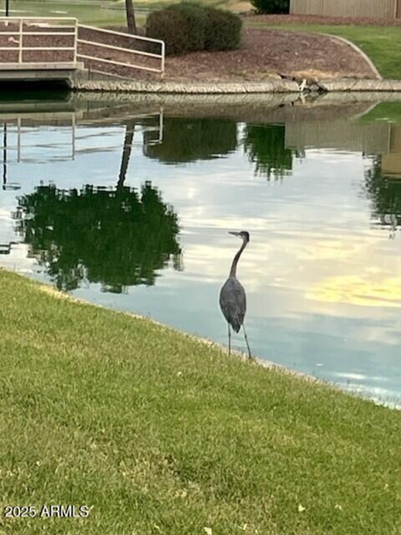 Resort-Style Community