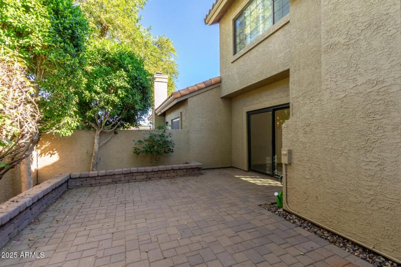 33 Pepper Tree