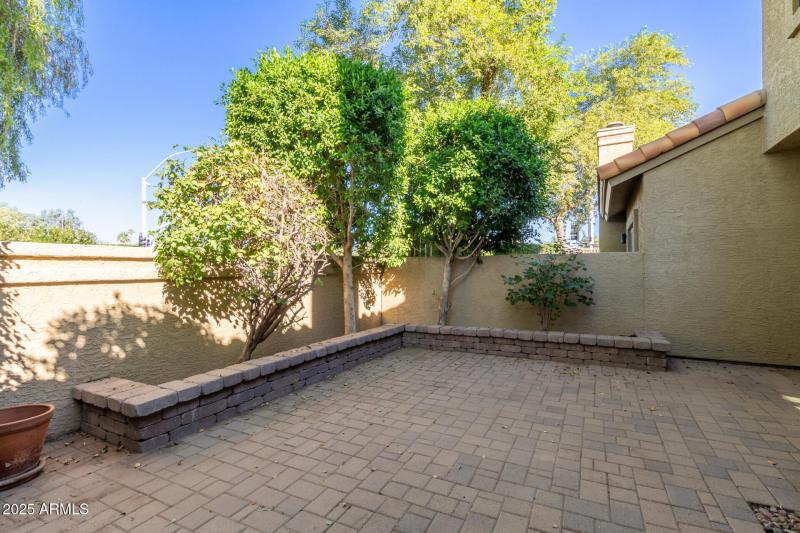 34 Pepper Tree