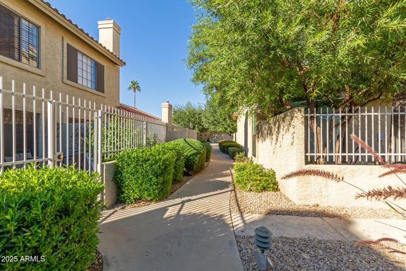 38 Pepper Tree