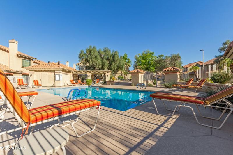 36 Pepper Tree