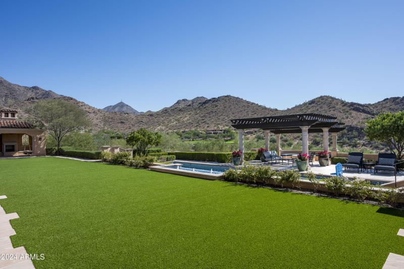 Backyard turf