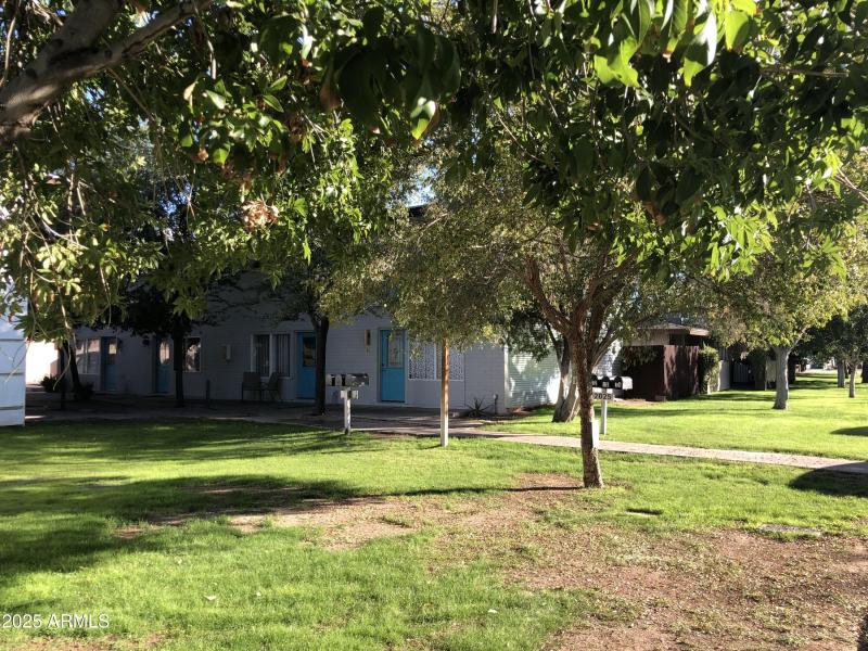 Mature Trees-Green Lawn