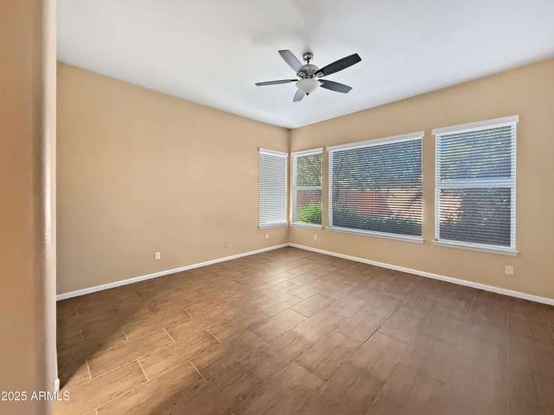 Primary Bedroom (Downstairs)