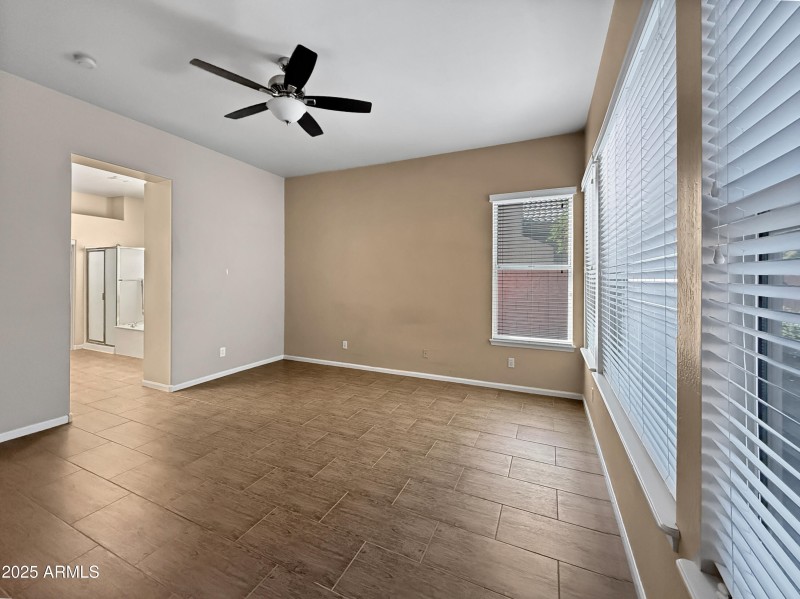 Primary Bedroom (Downstairs)