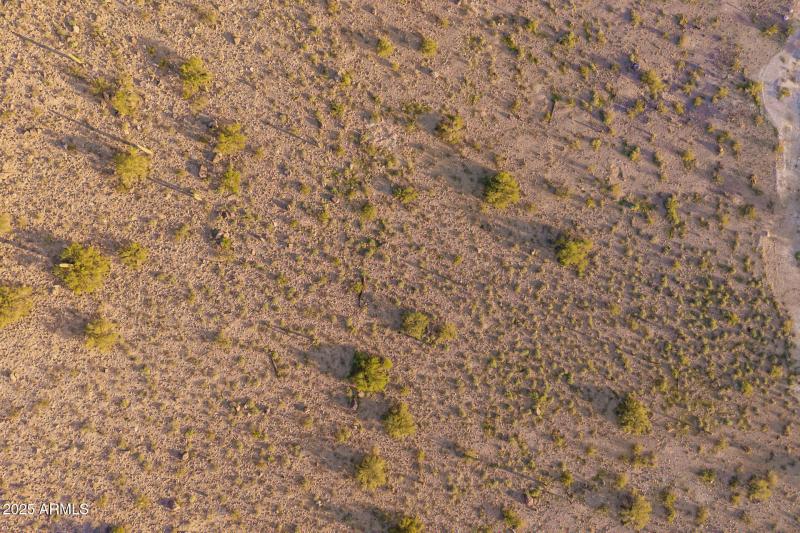 8962 W Roberta Ln (18)