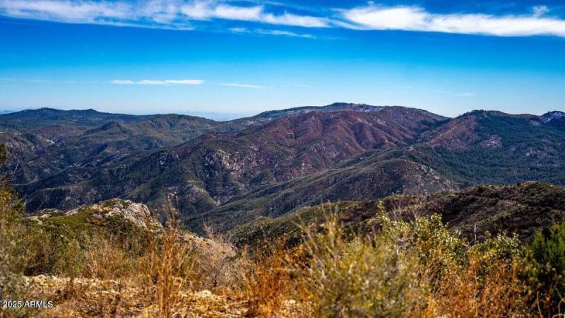 20250405074120932558000000-o (1)