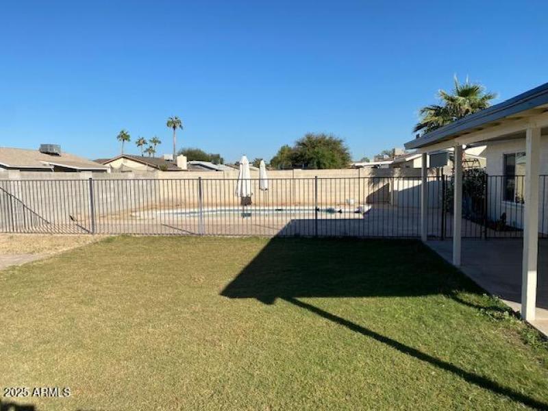 Mission grassy back yard