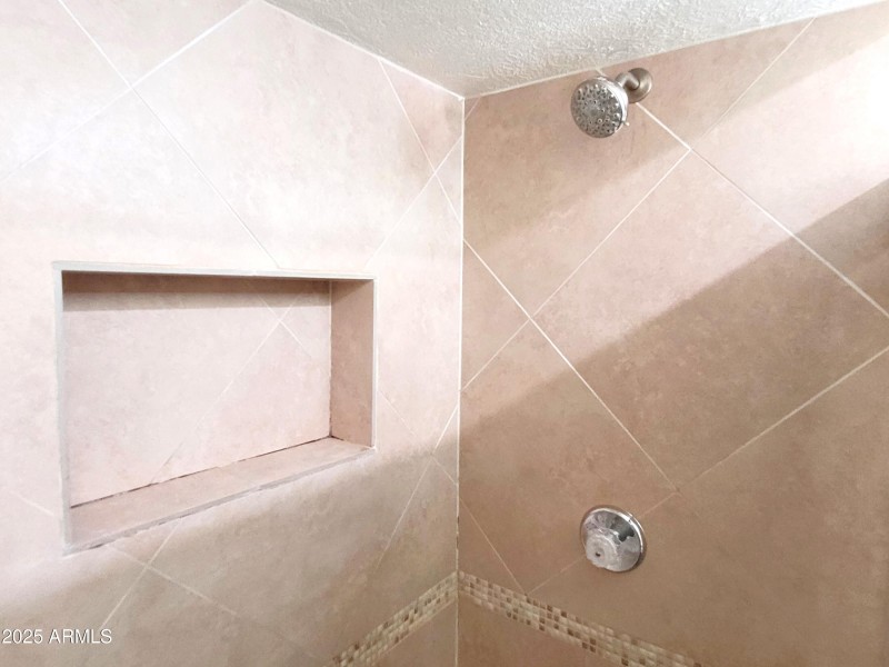 MASTER BATHROOM VIEW 2