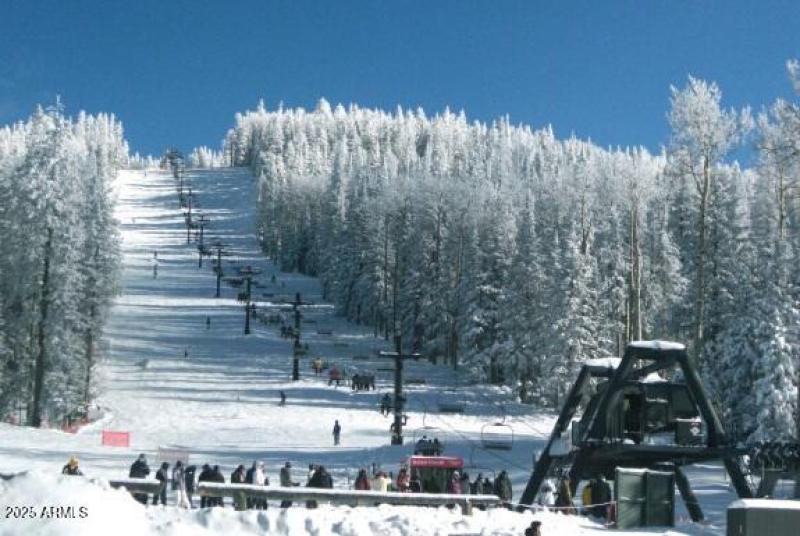 Snowbowl