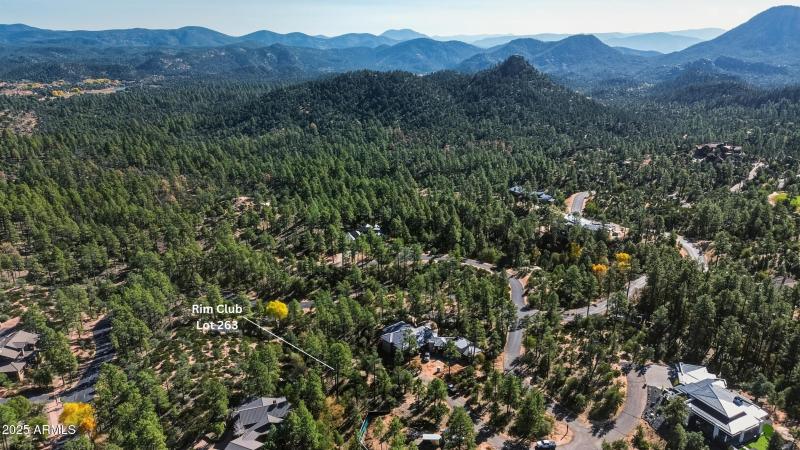 12_rim club lot 263 (5)