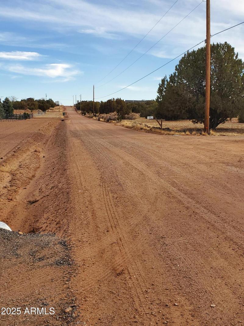 3933 street view looking south Hidden R