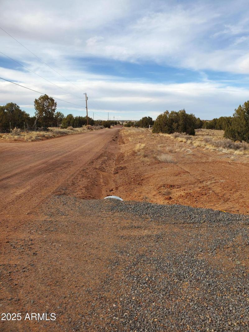 3933 street view looking north Hidden Ra