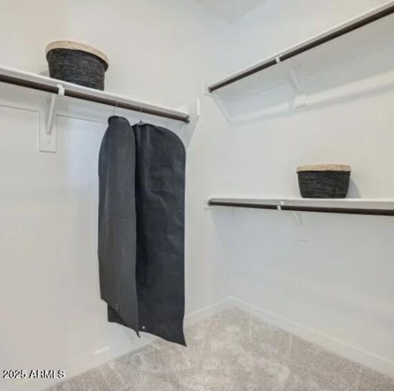 Owners Walk in Closet