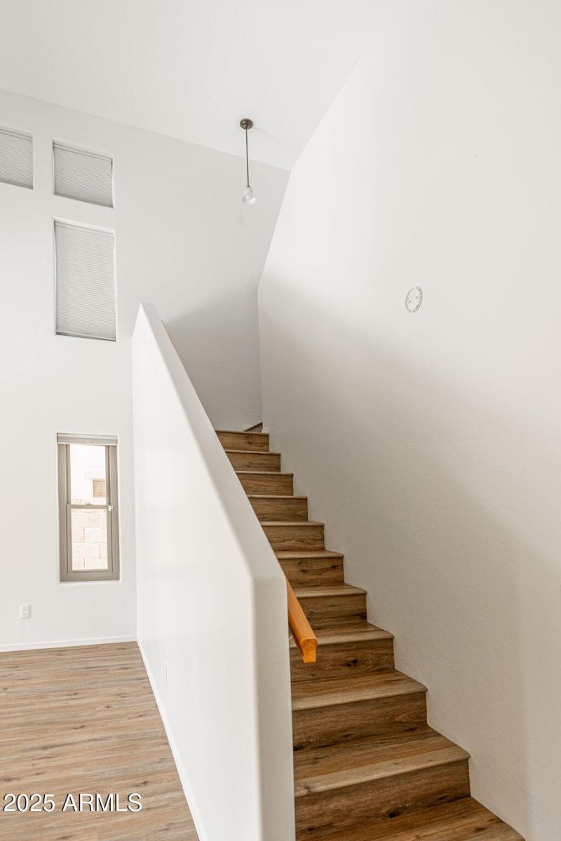 Expansive Ceilings