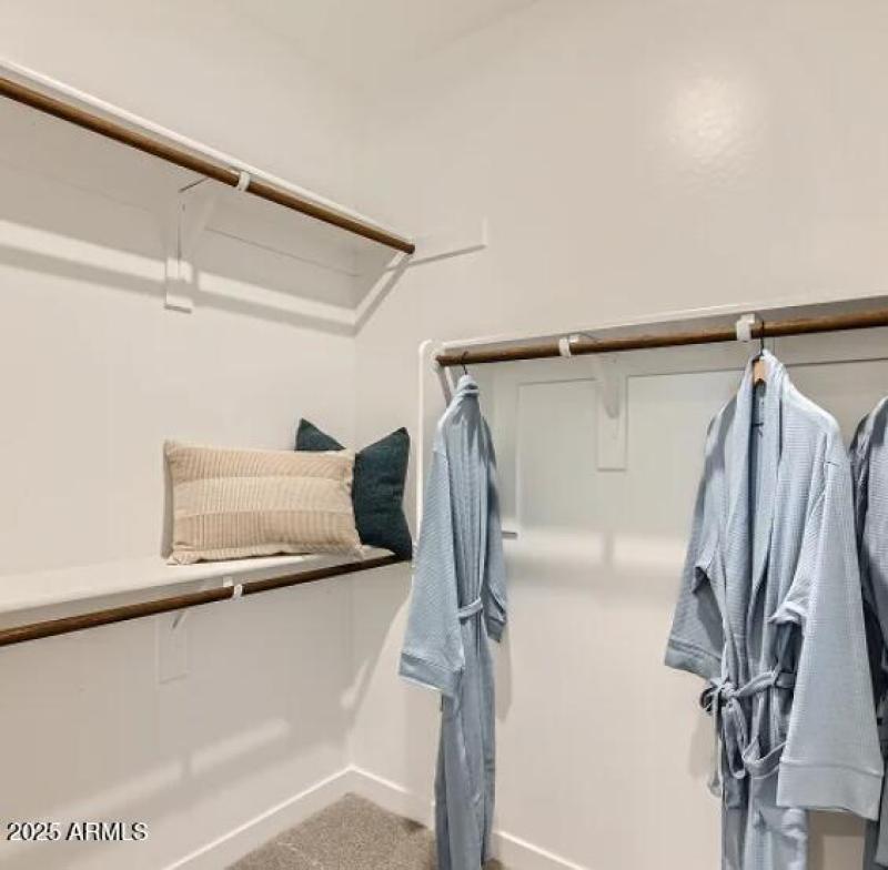 Owners Walk in Closet