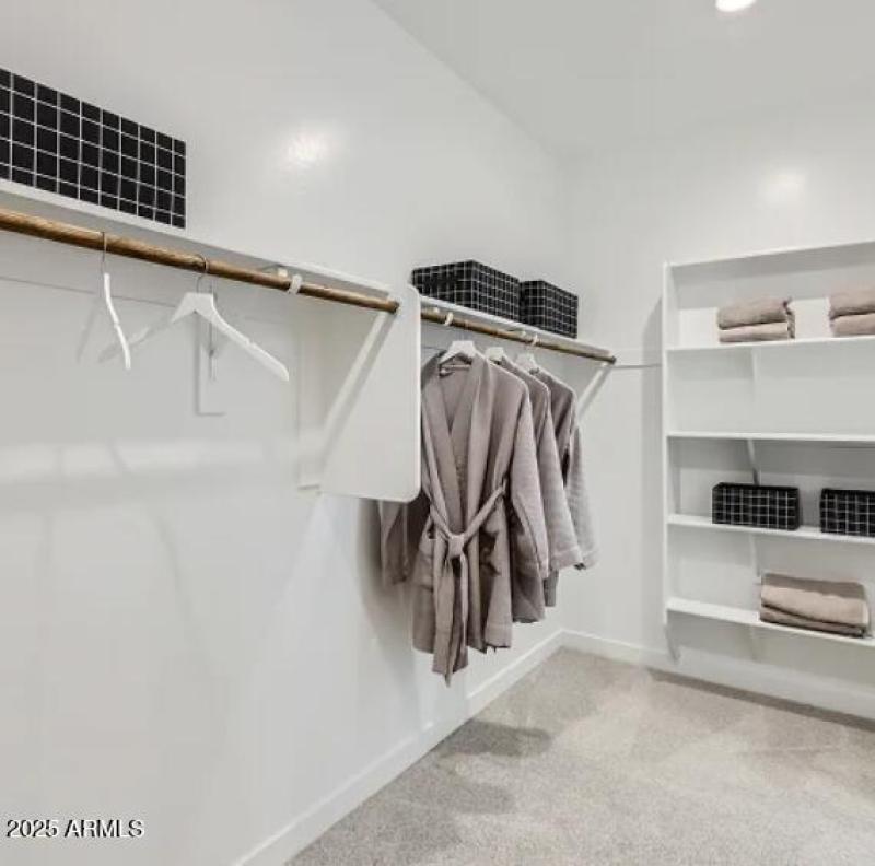 Owners Walk in Closet