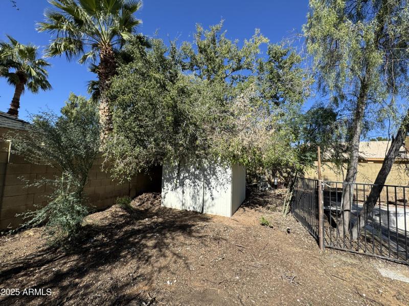 Foto 11-5-25, 12 06 25 pm