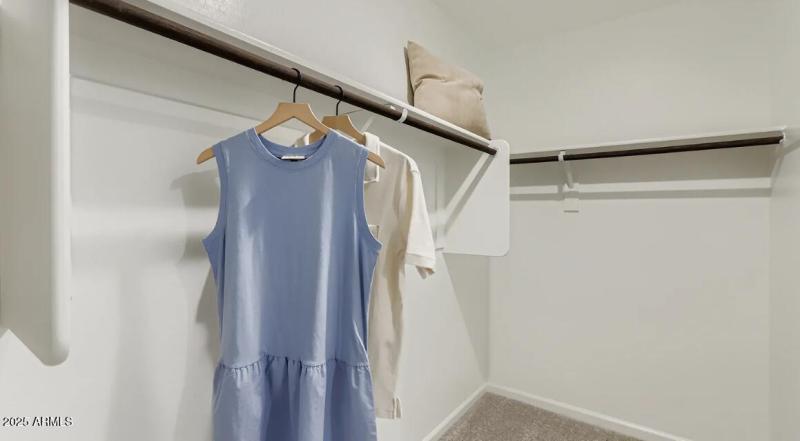 Owners Walk in Closet