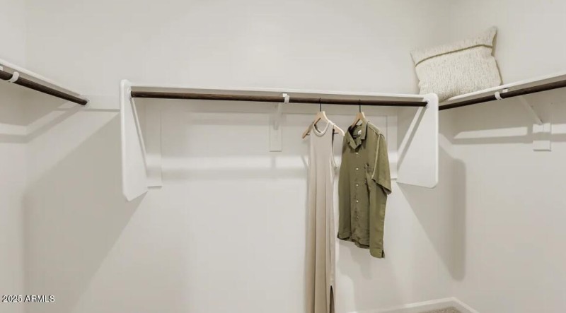 Owners Walk in Closet