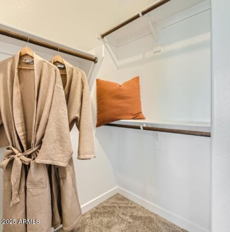 Owners Walk in Closet