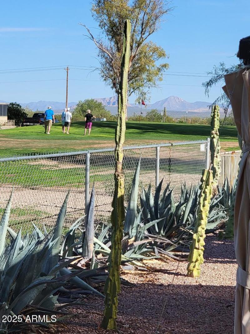 views from back patio