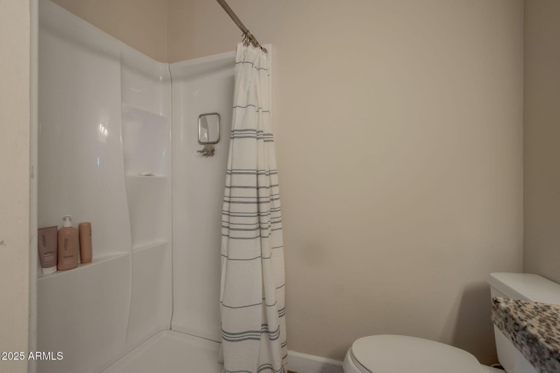 7-web-master bathroom shower 1