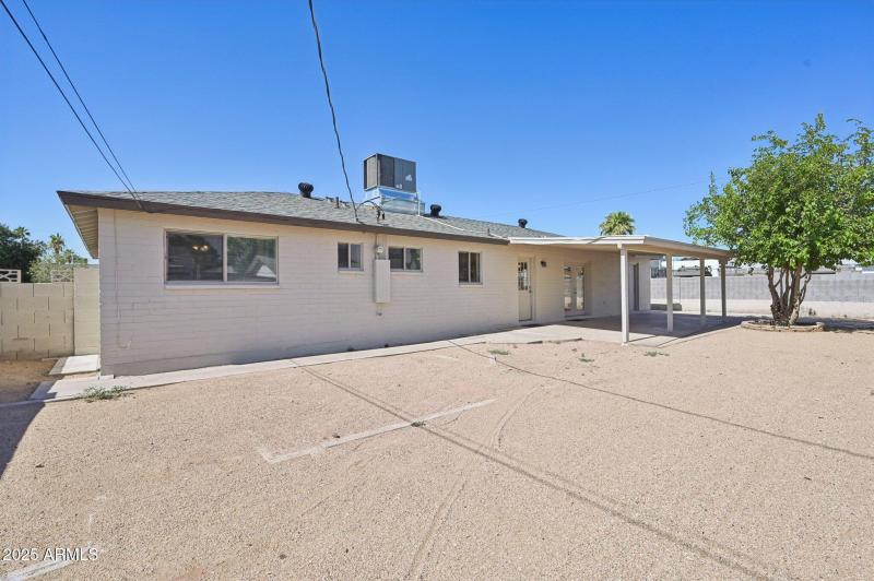 Views of the backyard