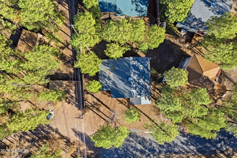 401 Cotton Tail Pinetop