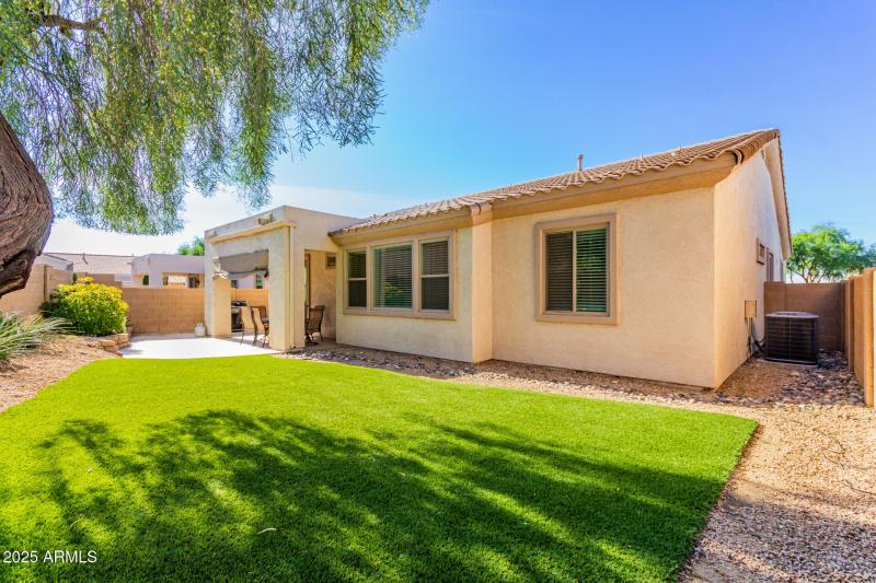 LOW MAINTENANCE TURF