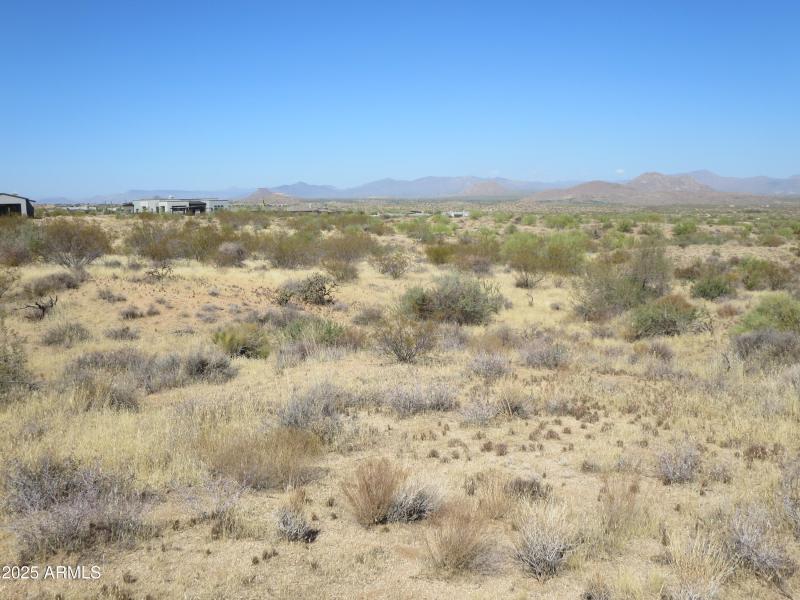 Looking north from the land