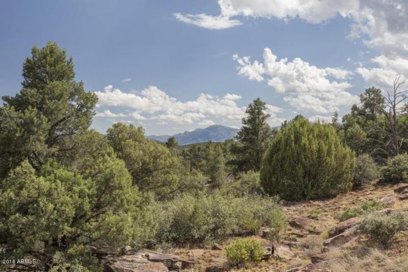 20160705231002164696000000-o[1]