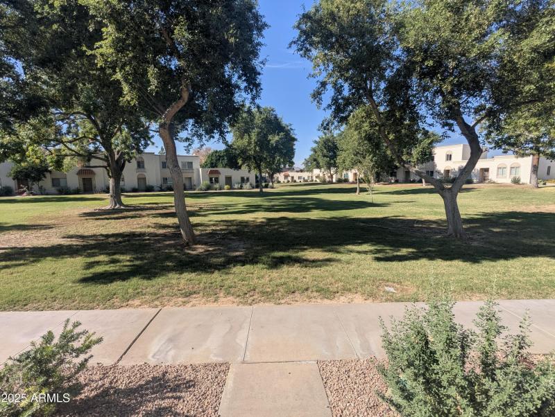 Community Grass Outfront