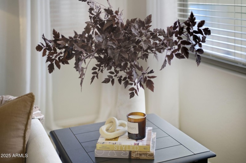 30-web-or-mls-36153 W Merced St-30