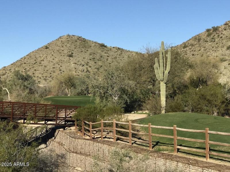 8F04D417-5CC2-420D-9819-F599690B3ADE_1_1