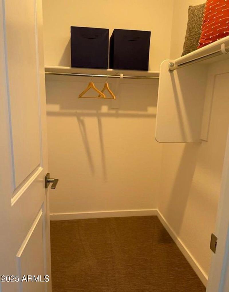 Guest Walk-in Closet
