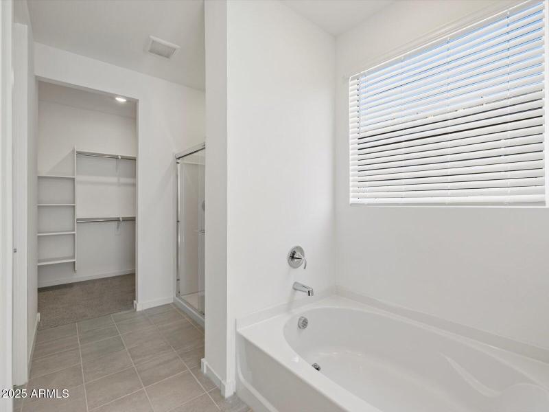 Primary Bathroom View 1