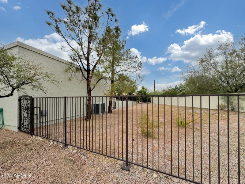 North side yard view 2