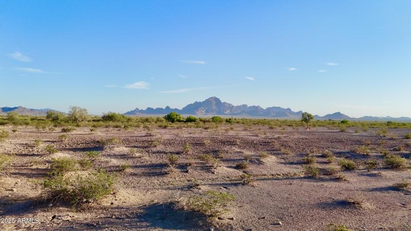 dji_fly_20251114_164726_0023_17631785749