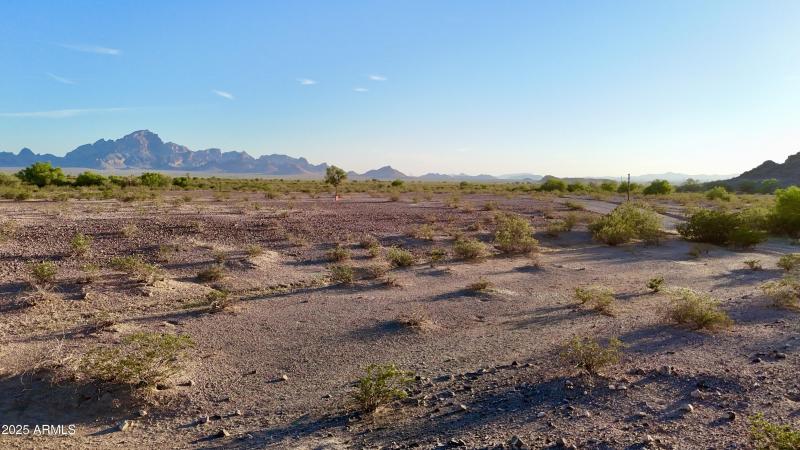 dji_fly_20251114_164724_0022_17631785753