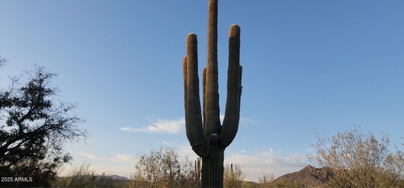 5418EYolanthaSt_62959_17