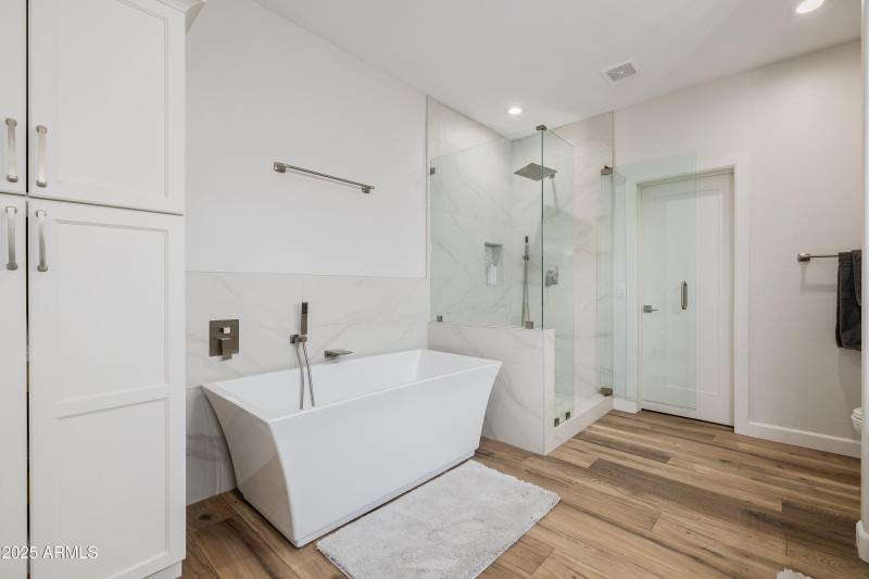 Master Tub & Shower