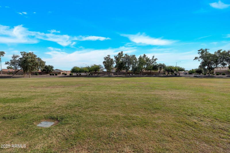 19-web-or-mls-QP-4109