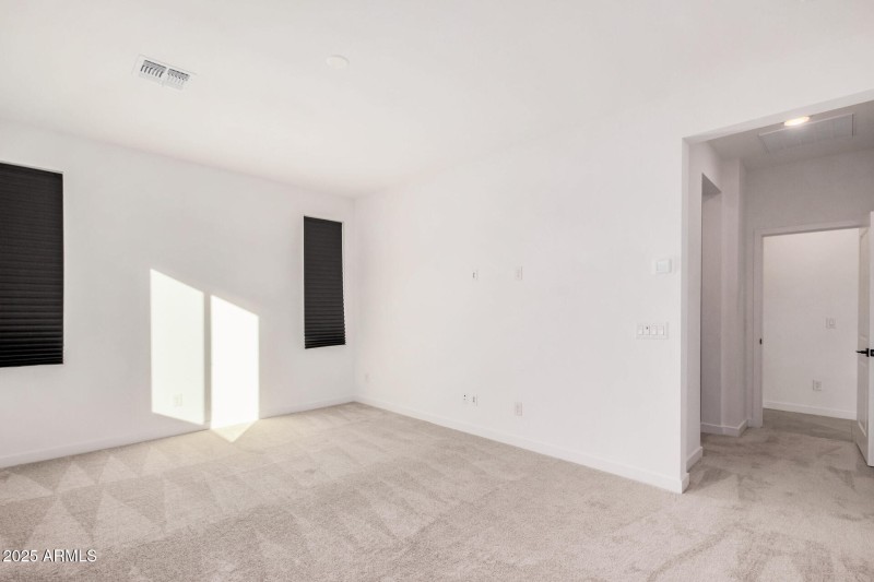 16 Larkspur