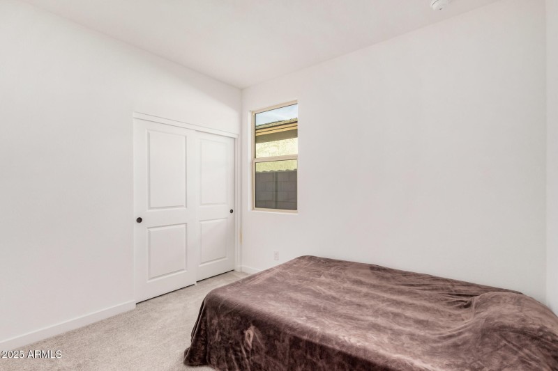 19 Larkspur