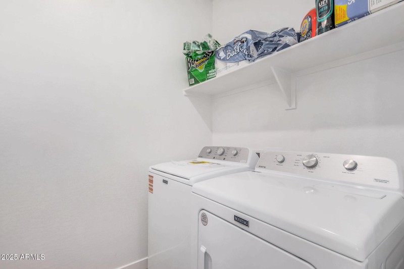 26 Larkspur