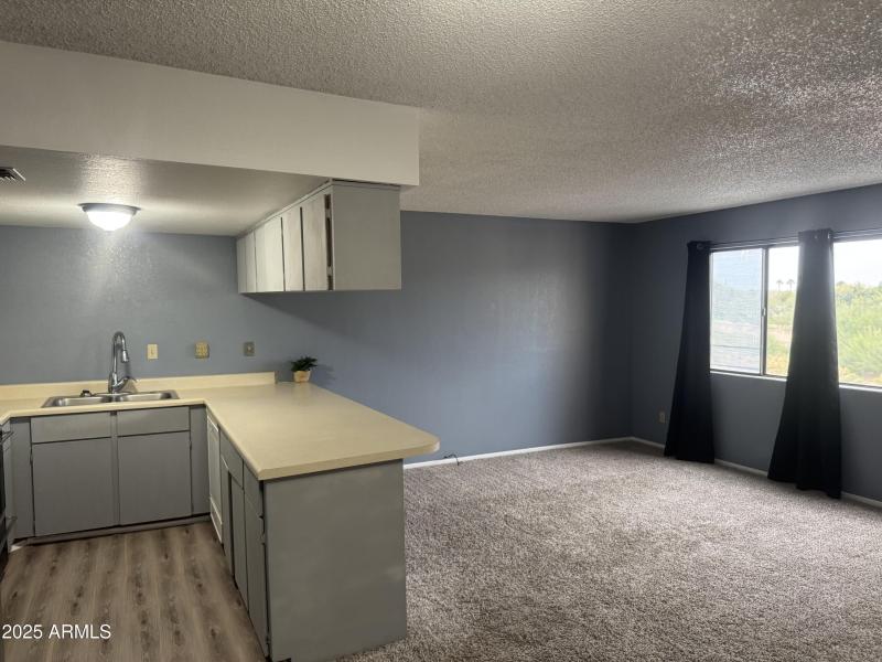 Kitchen/Living area
