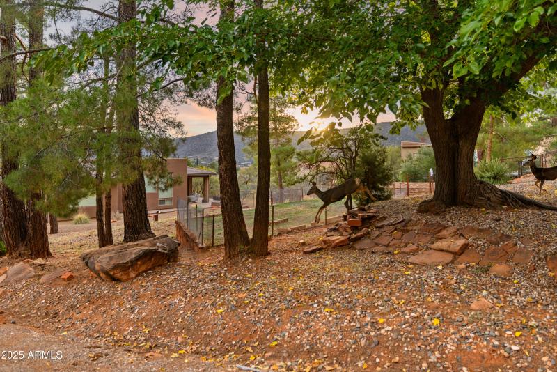44-Backyard