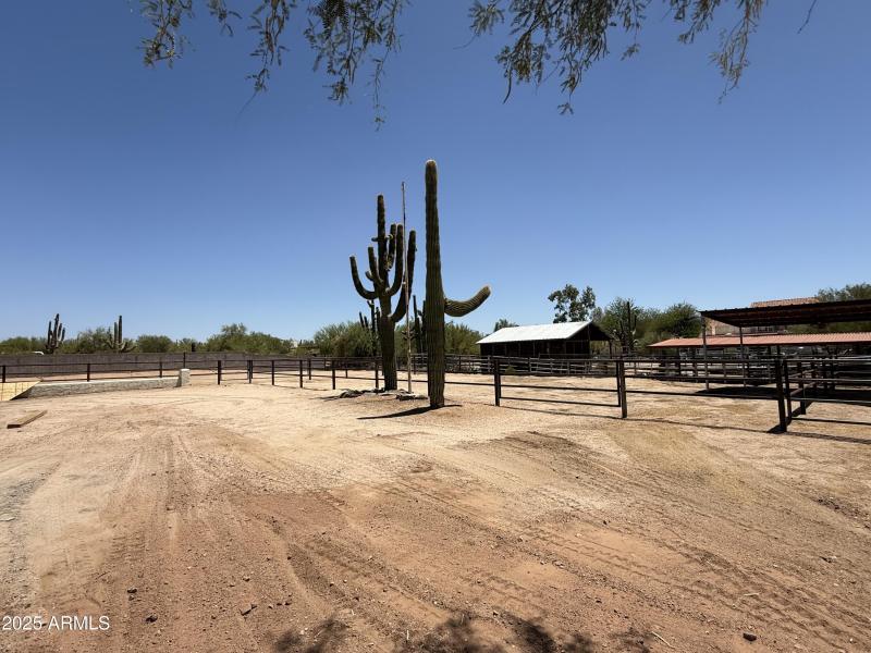 Horse Turnout 2